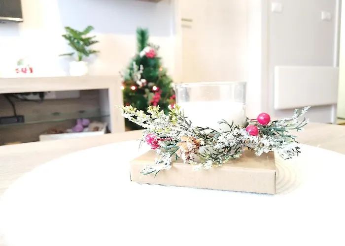 25 Apartmán Vrnjačka Banja